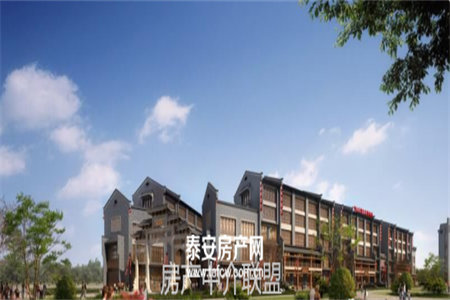 三实小学丽水嘉苑步梯3楼送储藏室证满2年过户费低